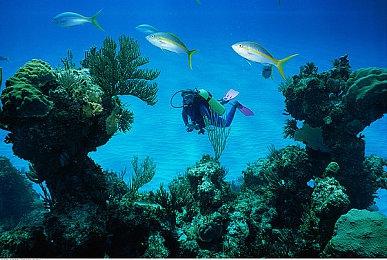 Steam 2026年上半年主题特卖安排公布